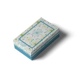 500 gr Kuru Pasta Kutusu (200 ADET) Bahar Desen-2 200x130x060 Mm